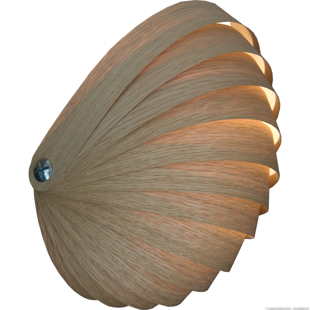 Nautilus_wandlamp-light in the shape of a nautilus - oak.png